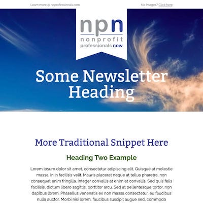 NPN (Nonprofit Professionals Now)