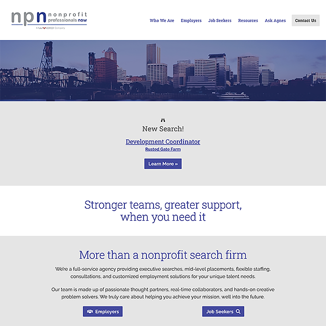 Nonprofit Professionals Now